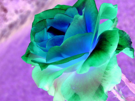 419438 (a): :1600x1200